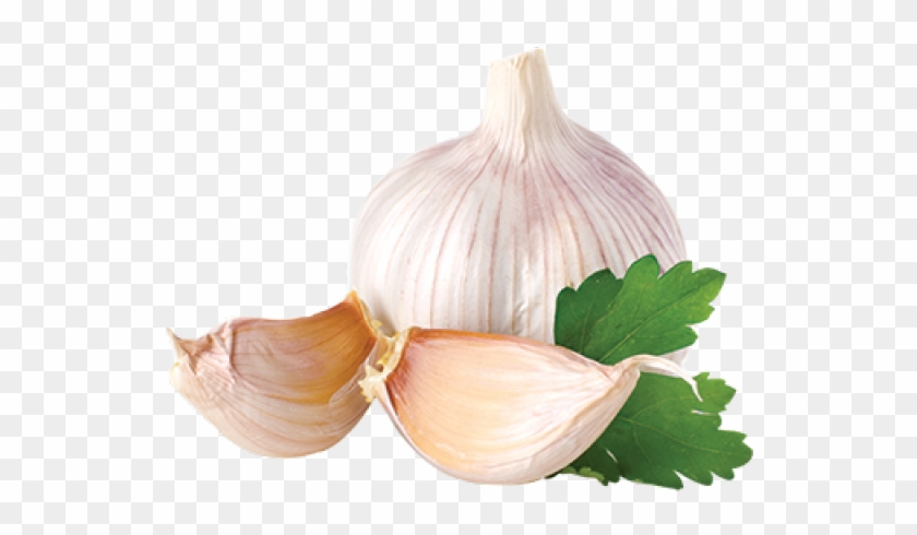 Garlic Png Transparent Images - Garlic Png Clipart #758941