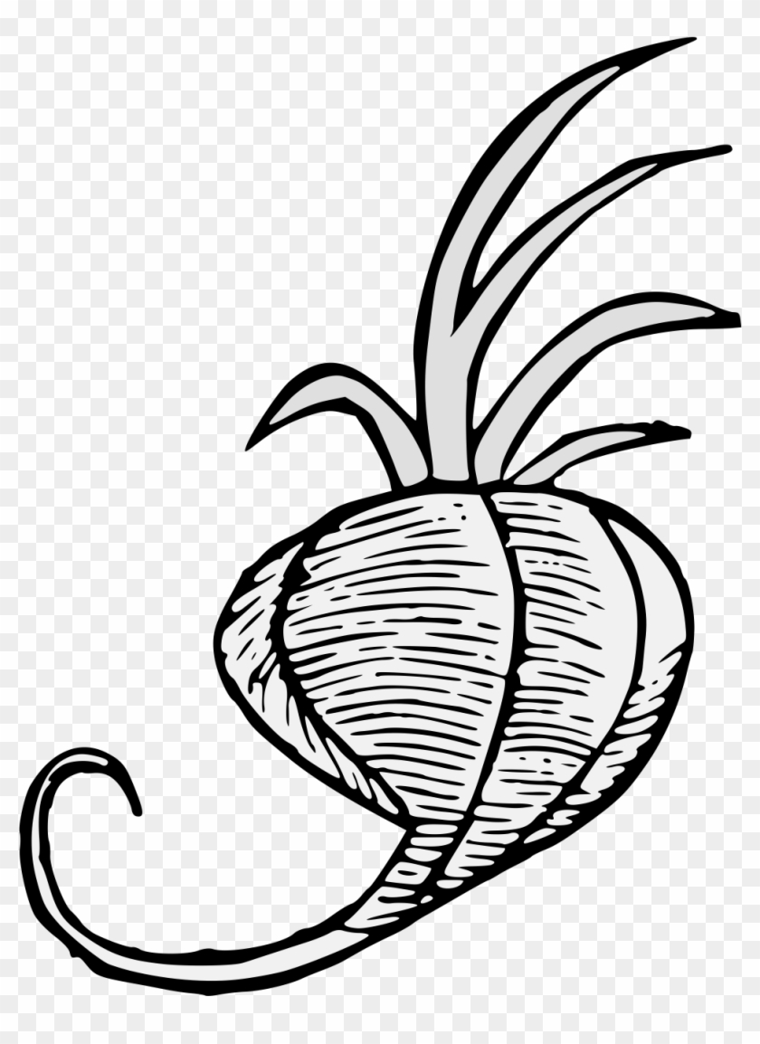 Details, Png - Illustration Clipart