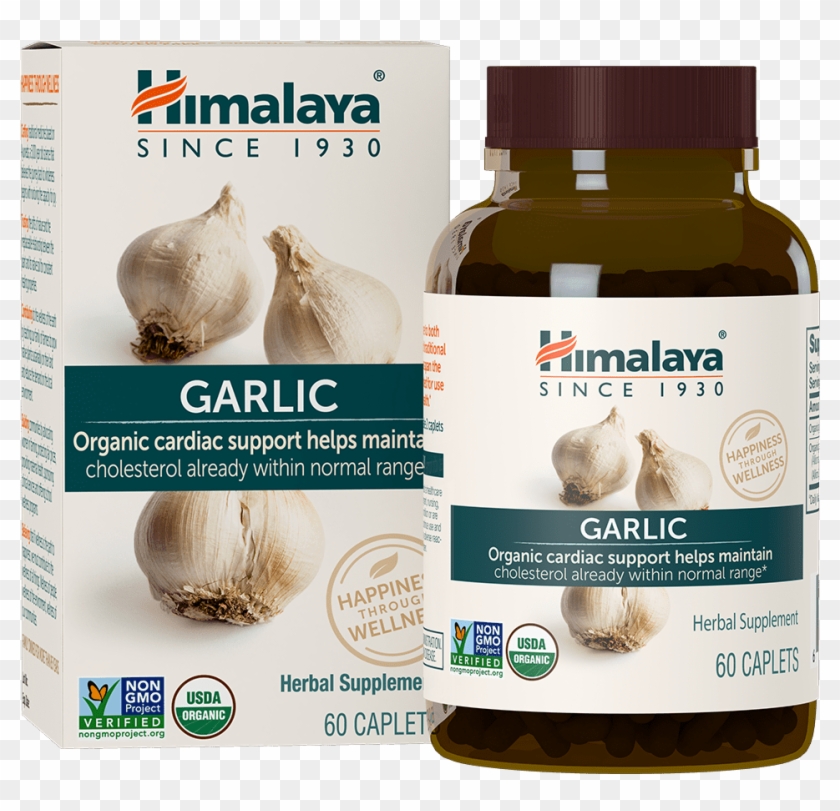 Organic Garlic - Himalaya Garcinia Clipart