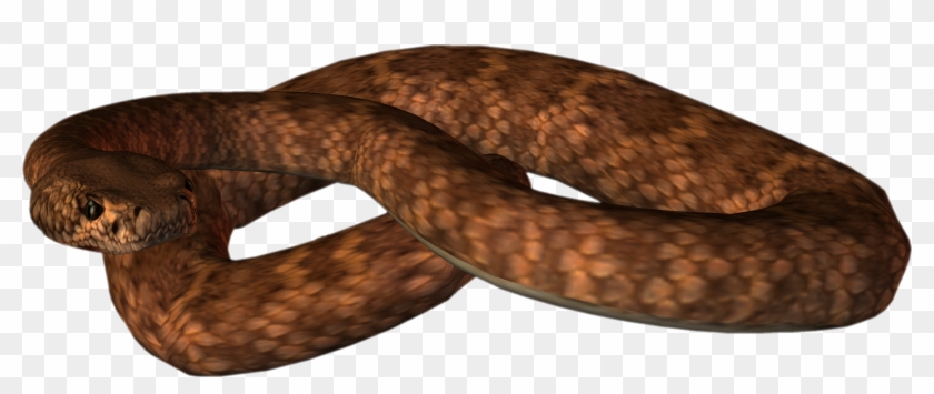 Snake - Brown Snake Png Clipart #759266