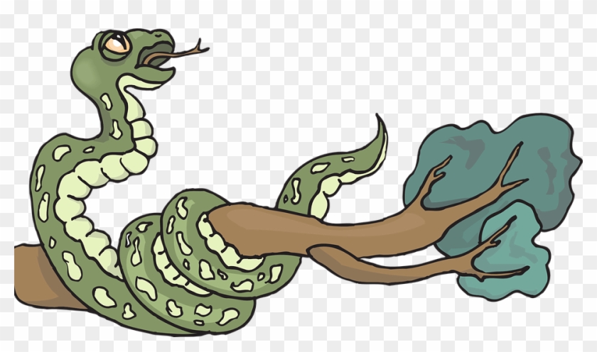 Clip Art Royalty Free Stock Collection Of Free Branches - Snake On A Branch Clipart - Png Download