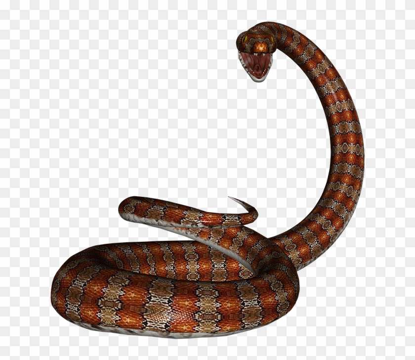 Snake, Rat Snake, Reptile, Red, Herpetology, Serpent - Serpientes En Png Clipart