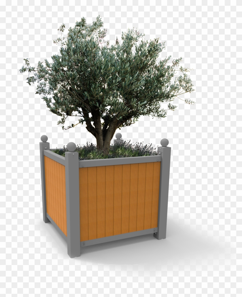 Optimise Your Street Planting Budget With The Roseraie - Street Tree Planter Png Clipart