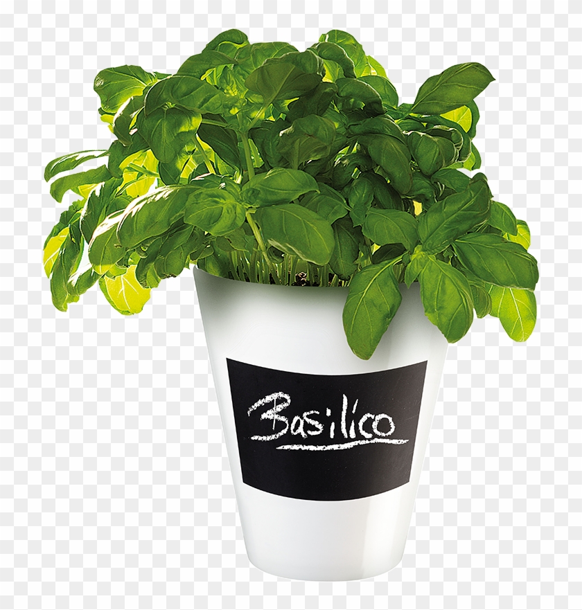 4509147 Asa-selection Memo Planter With Chalk Decal - Flowerpot Clipart #761538