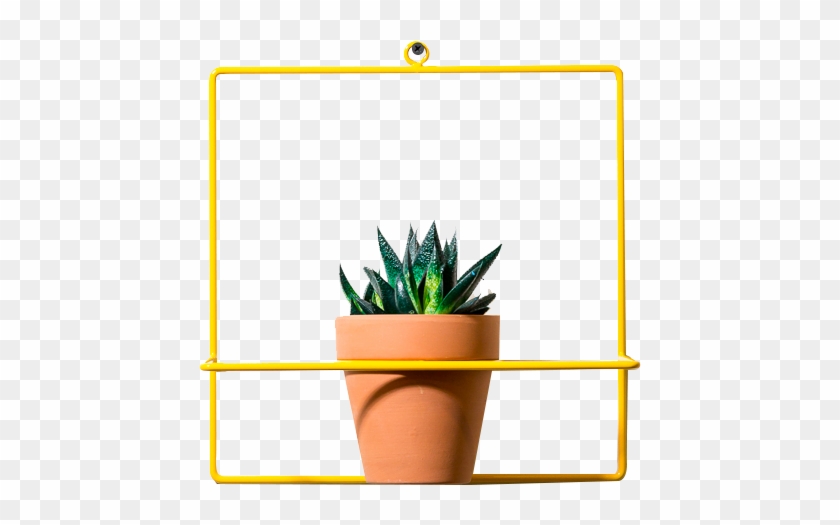Square Wall Planter - Flowerpot Clipart #761611