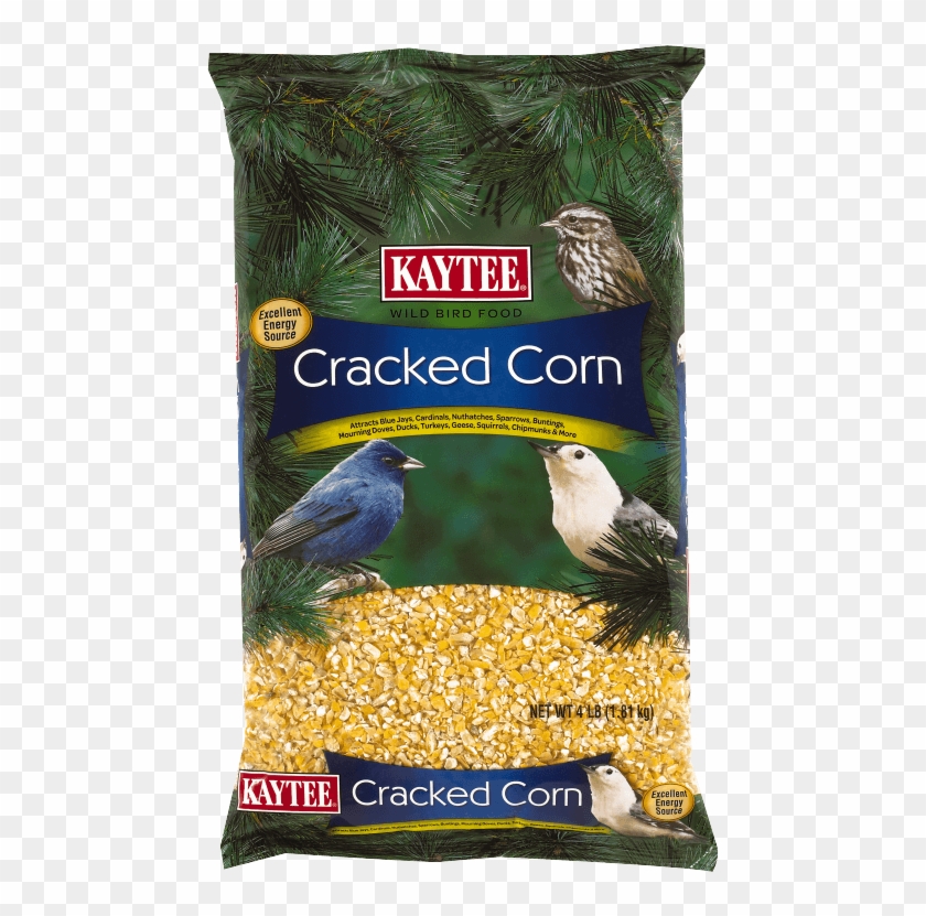 Budgies Eating Cracked Corn Clipart