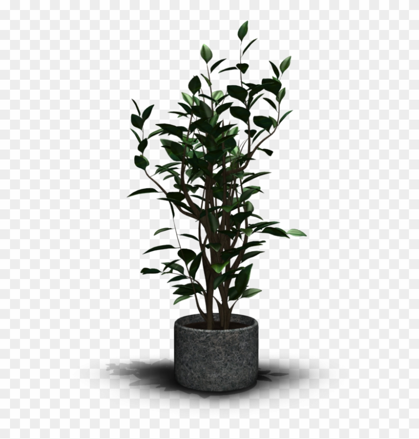 House Plant - Wardrobe Clipart #762887