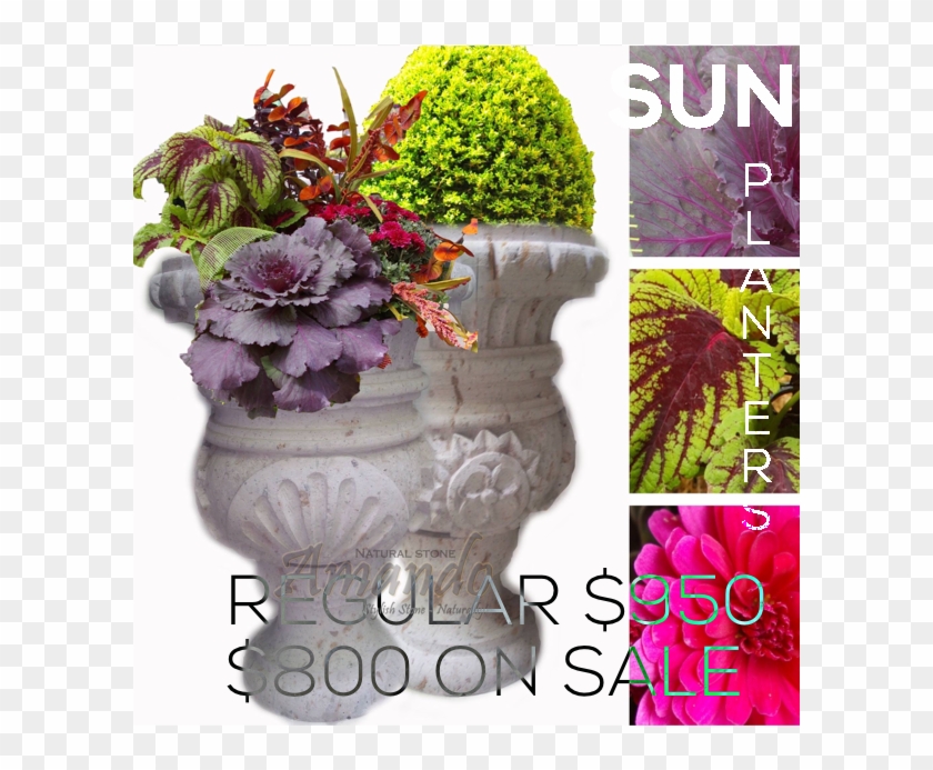 Amando Stone Sun Cup Planter - Bouquet Clipart