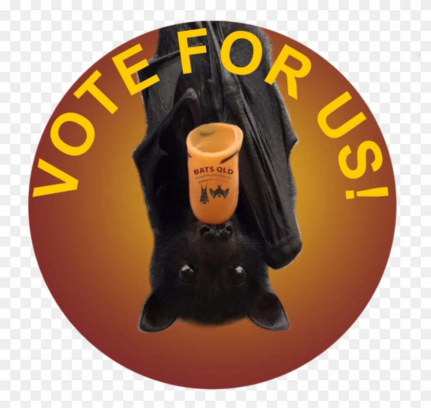 Testie - Black Cat Clipart #763739