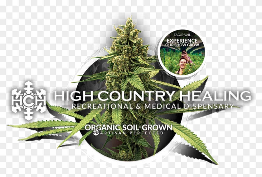 1st Place Winner - Plantation Clipart