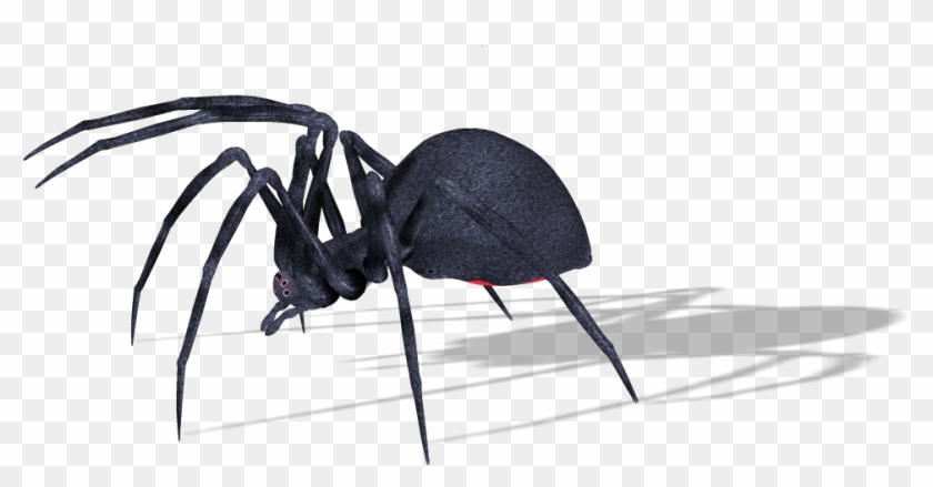Ant Clipart #763988