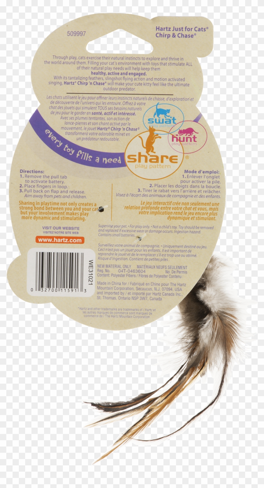 Flying Cat Png Clipart #764524