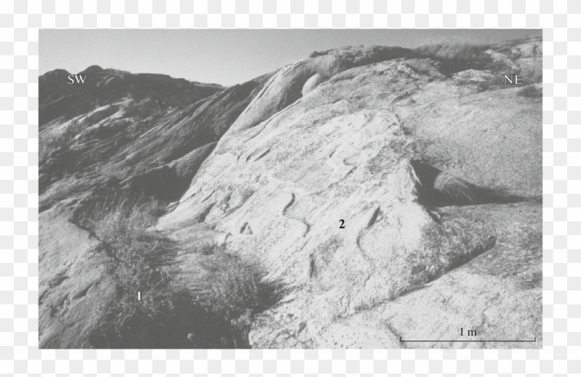 Rheomorphic Calcite Marble Intruded Into Dark Marmorized - Monochrome Clipart