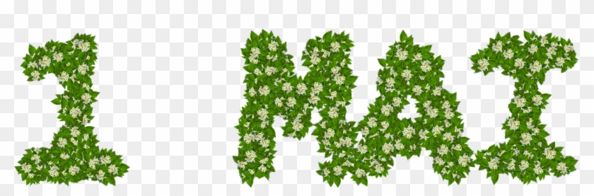 Thrush,lilly Of The - 1 Mai Png Clipart