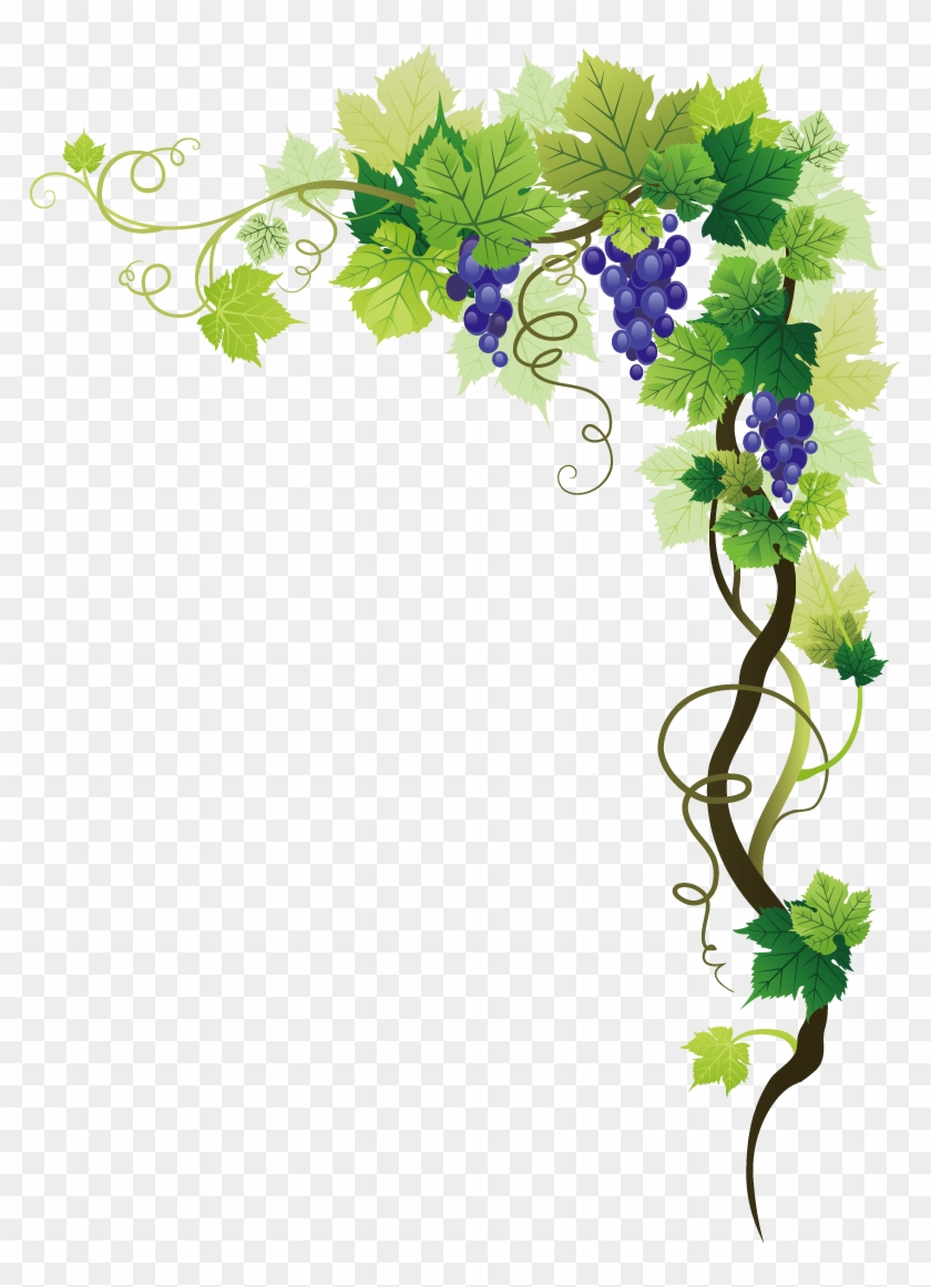 Graphic Royalty Free Common Picture Frame Clip Art - Grape Vine Border Png Transparent Png #765772