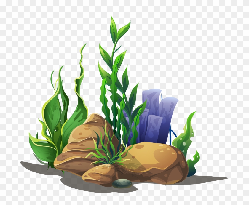 If Your Child Needs A Dental Crown In Orem, Utah, We - Aquatic Plant Clipart #766013