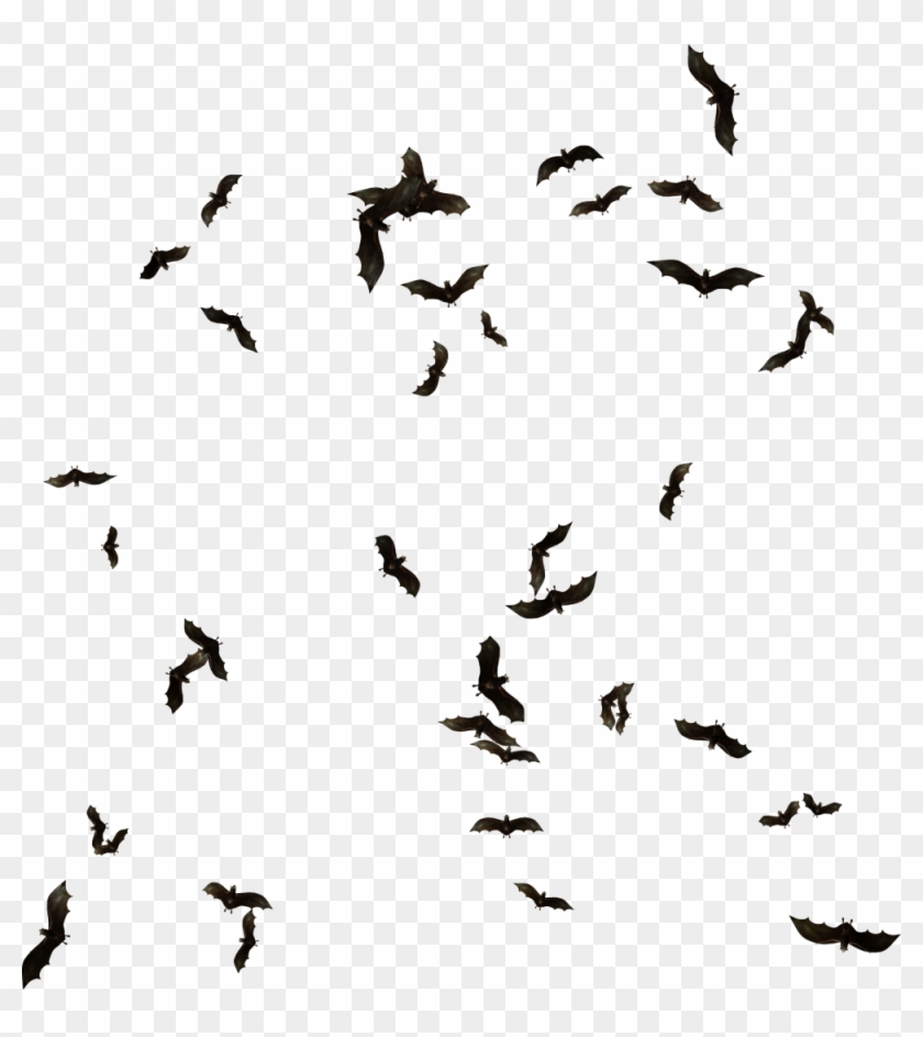 Bat Silhouette Transparent Images - Bats Flock Png Clipart