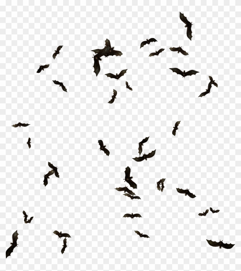 Bat Silhouette Transparent Images - Bats Flock Png Clipart #766838