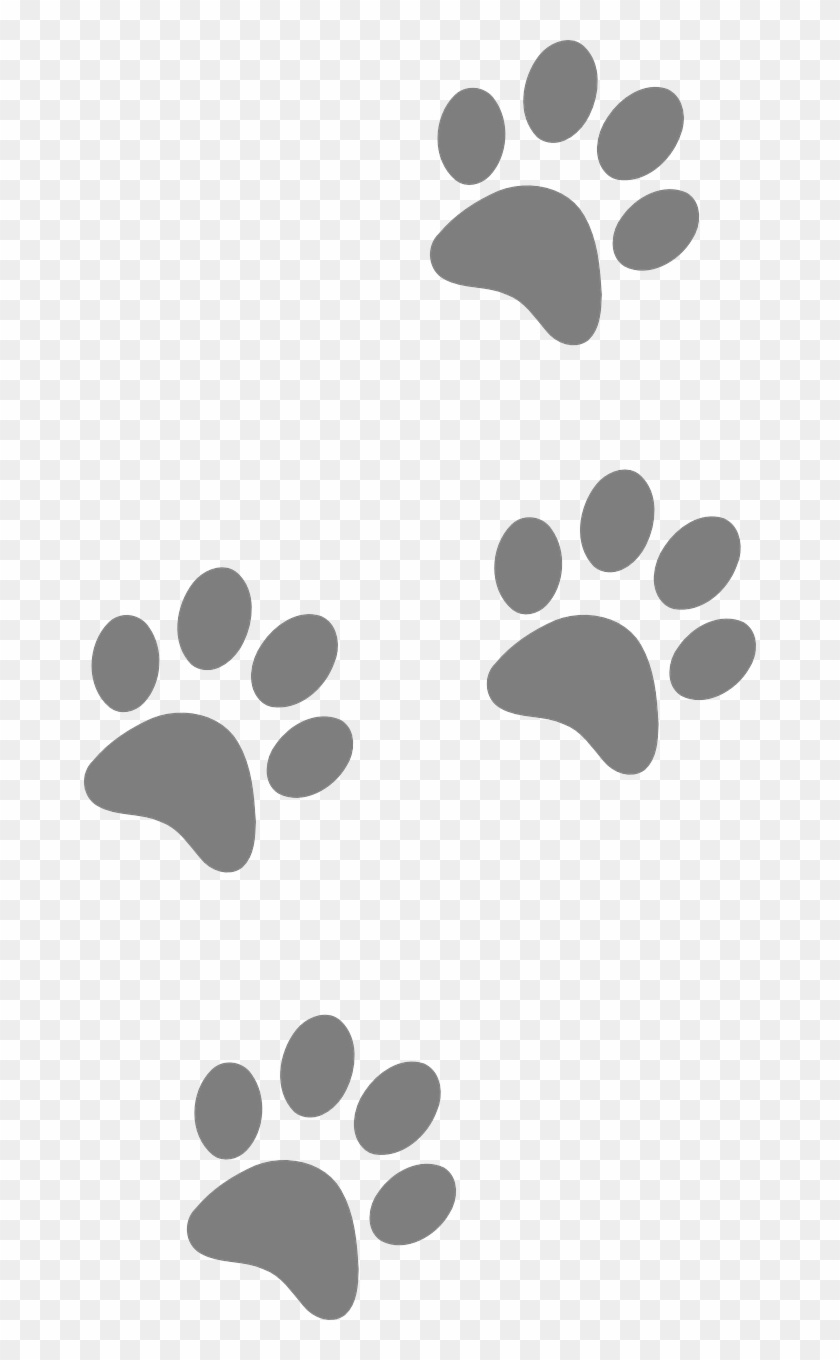 Free Image On Pixabay - Dog Footprints Clipart #766999