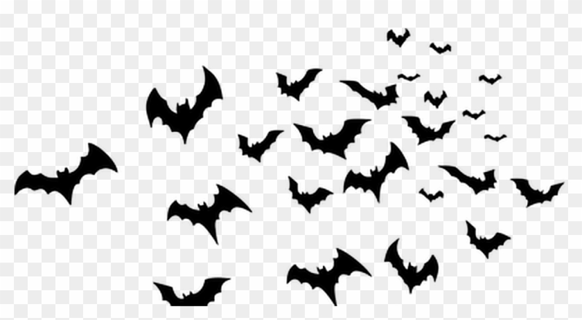 Report Abuse - Stencil Owl On A Branch Clipart