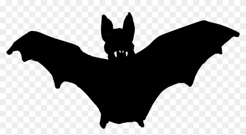 Welcome Clipart Bat - Little Brown Myotis - Png Download