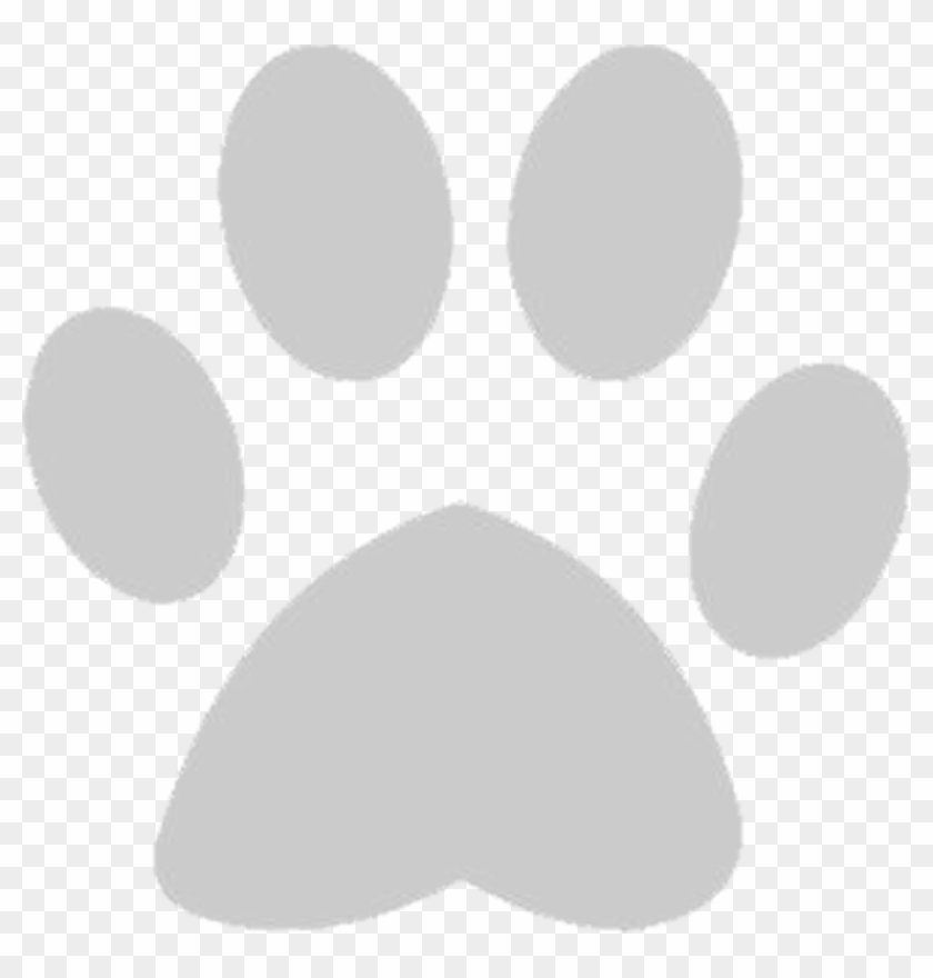 800 X 800 2 - Grey Dog Paw Png Clipart