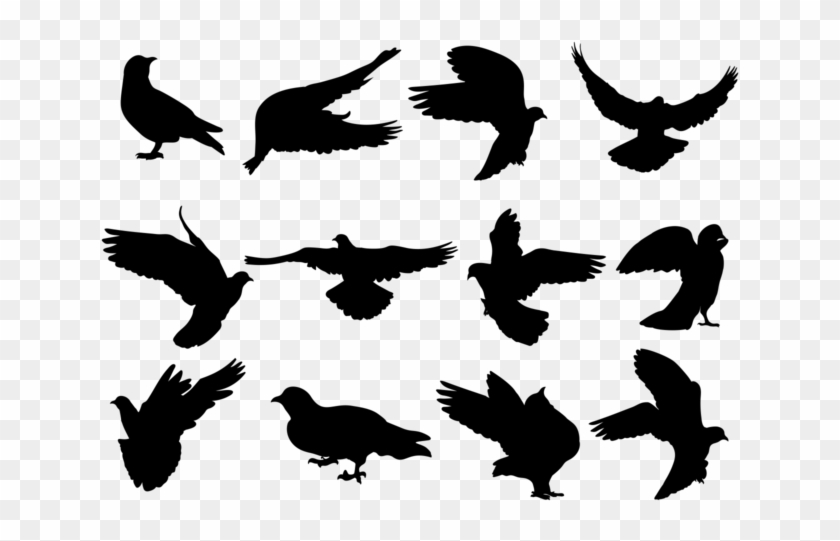 Paloma Silhouettes Vector - Palomas Vector Clipart