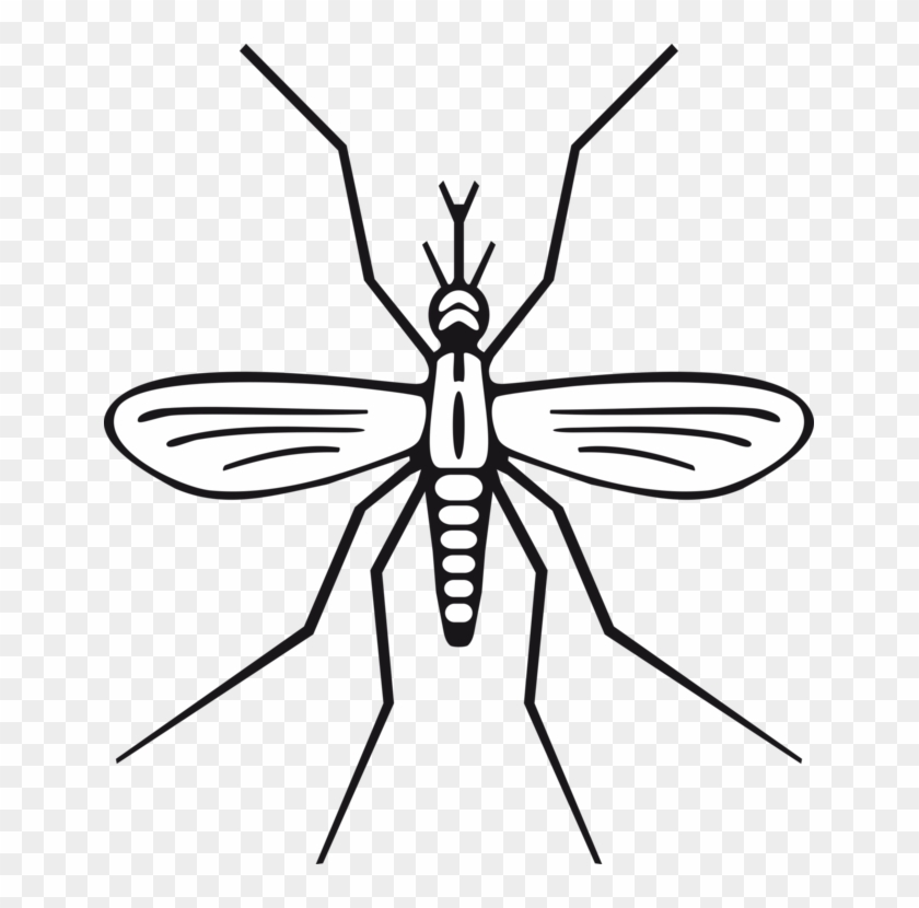 Mosquito Clipart Swarm Mosquito - Simple Mosquito Drawing - Png Download #768550