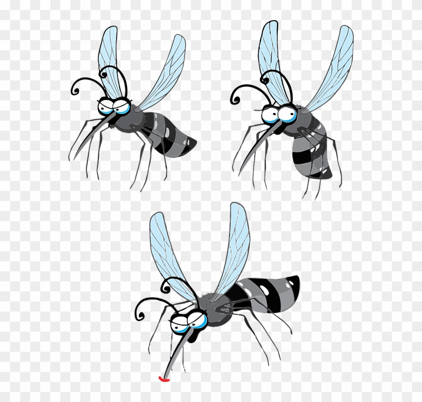 Mosquito Desenho Png - Cartoon Flying Mosquito Png Clipart #768765