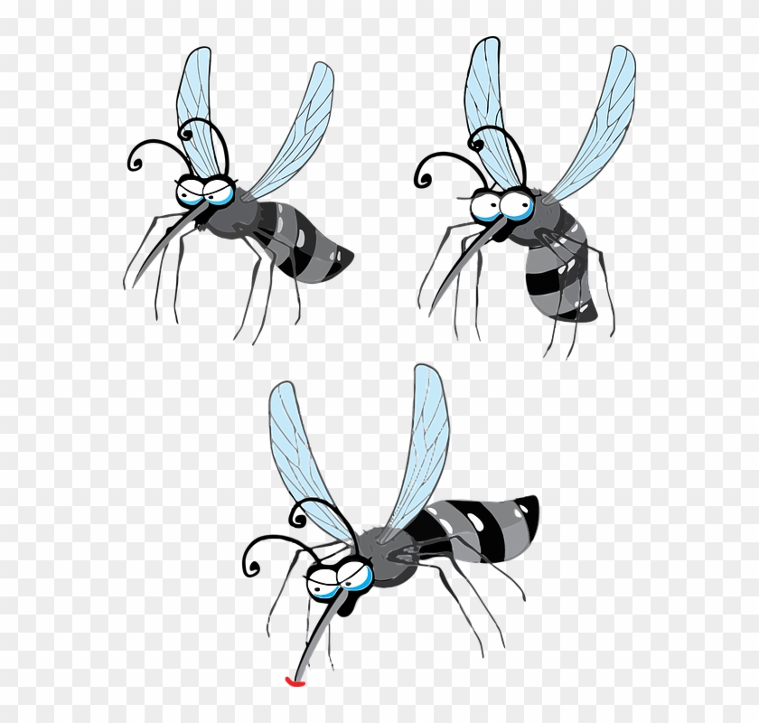 Mosquito Desenho Png - Cartoon Flying Mosquito Png Clipart