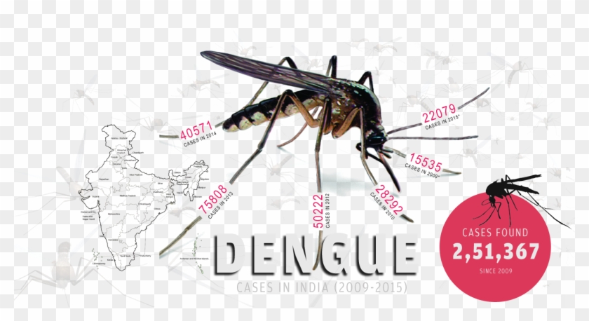 1366 X 681 3 - Net-winged Insects Clipart #768902