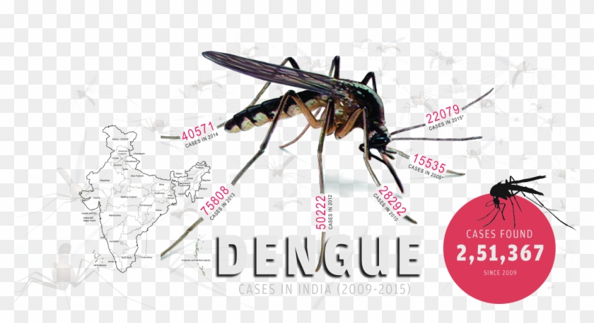 1366 X 681 3 - Net-winged Insects Clipart