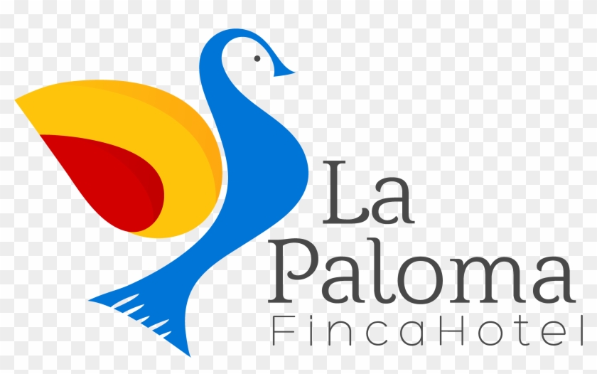 Paloma Blanca Png , Png Download - Duck Clipart