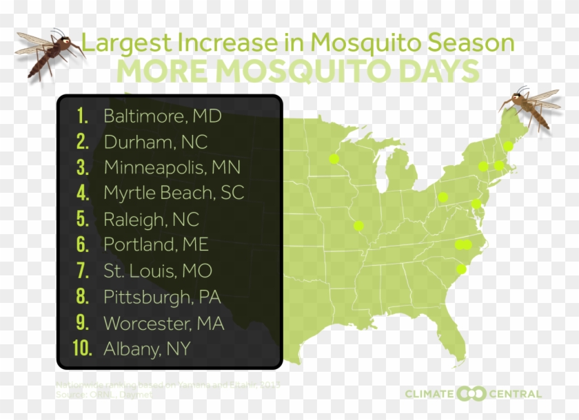 Jpg • Transparent Png - Acadia Healthcare Clipart #769014