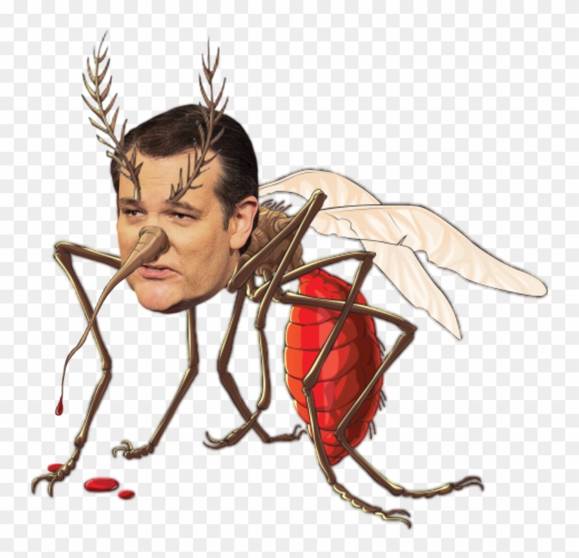 Mosquito Face Insect Nose Invertebrate Head Fictional - Bloodsucking Mosquito Clipart