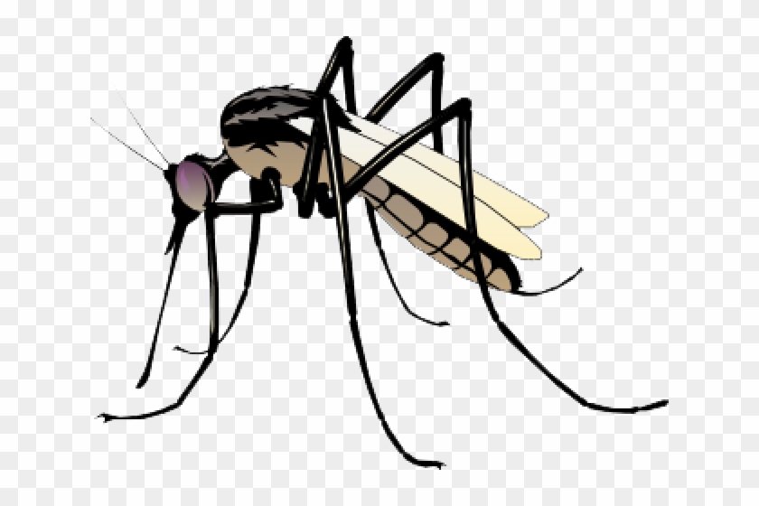 Mosquito Clipart Transparent - Png Download