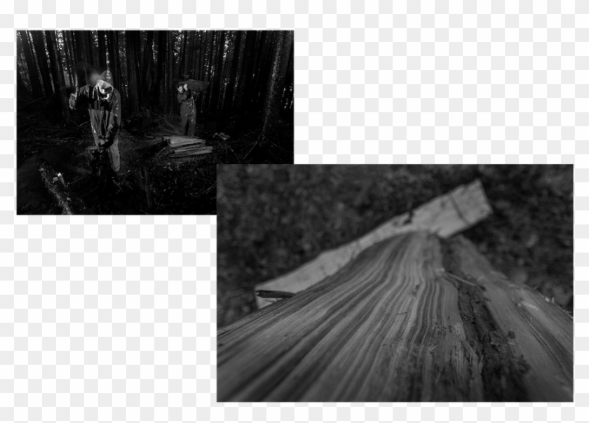 I Mentioned Fine Art Above And That Can Be A Bit Muddy, - Monochrome Clipart #769972