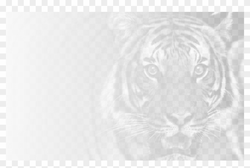Current Hope High School Online Students Mascot - Bengal Tiger Clipart #770139