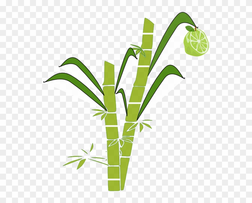 Sugar Cane Clipart Png - Easy To Draw Sugar Cane Transparent Png