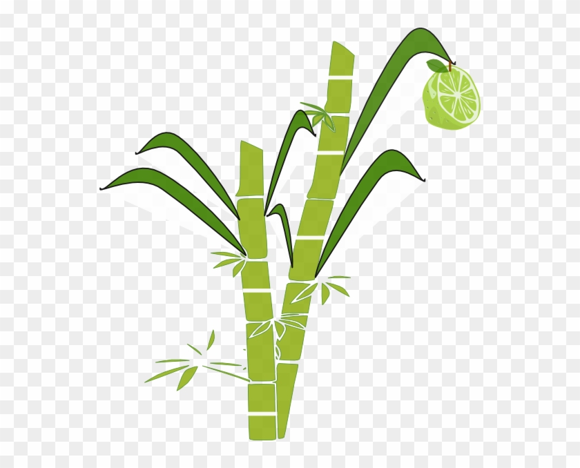 Sugar Cane Clipart Png - Easy To Draw Sugar Cane Transparent Png #770862