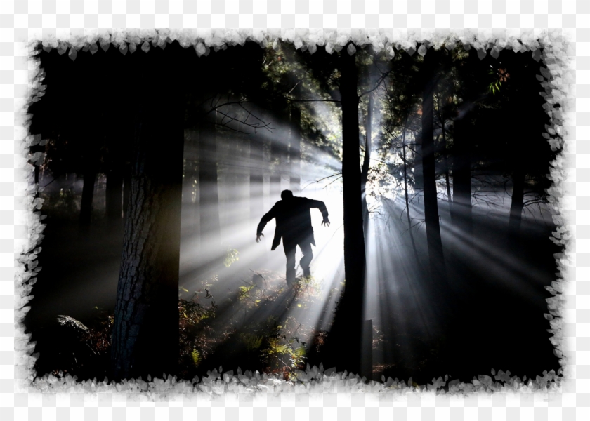 In 1813, Jacob Grimm Wrote Down This Spooky Story In - Scary Picture Writing Prompts Forest Clipart