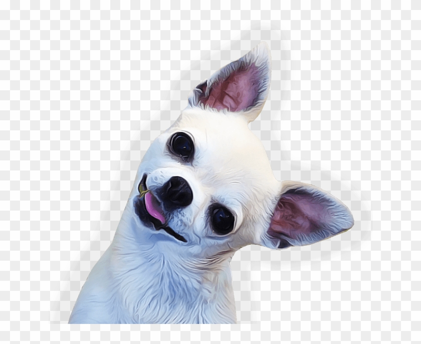 Chihuahua Face Side - Chihuahua Png Clipart #771641