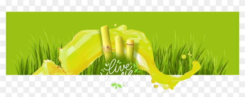 Sugar Cane Png Clipart #771668