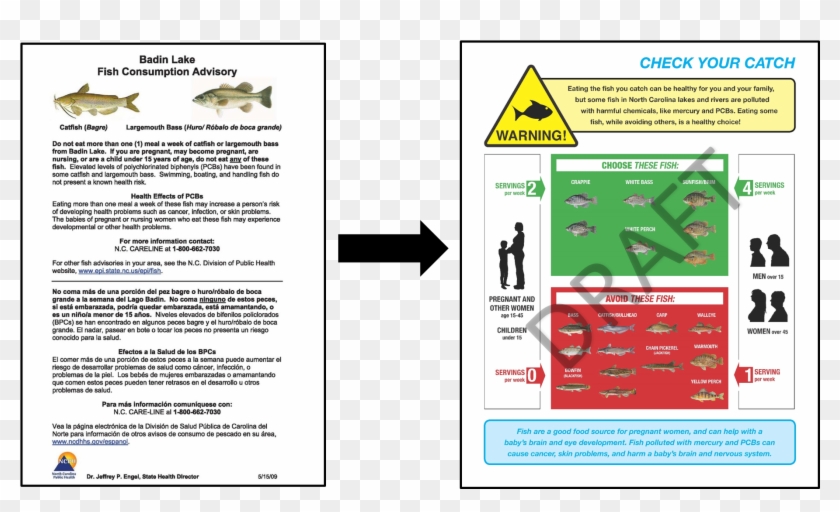 In Light Of These Results, The Coec Has Been Working - Brochure Clipart