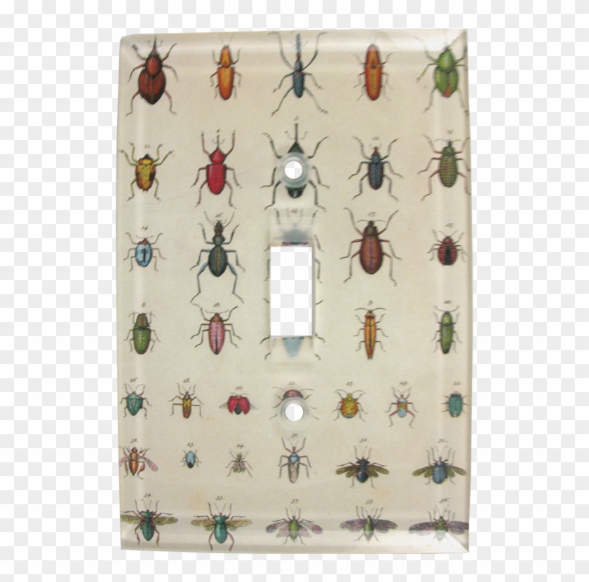 Curtain Clipart #771954
