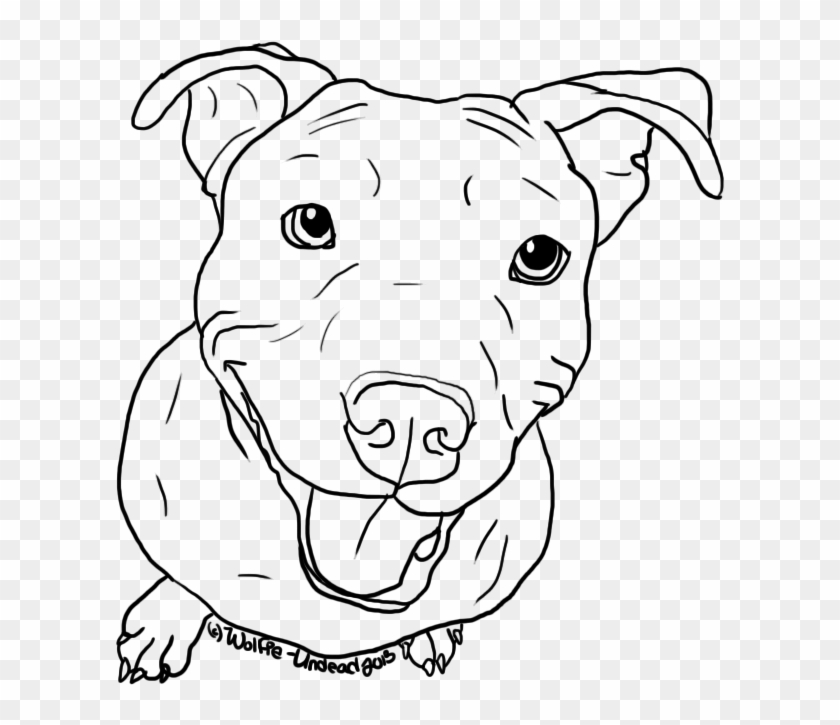 Pitbull Dog Face Images Ink Pinterest Art - Blue Nose Pitbull Outline Clipart #771990