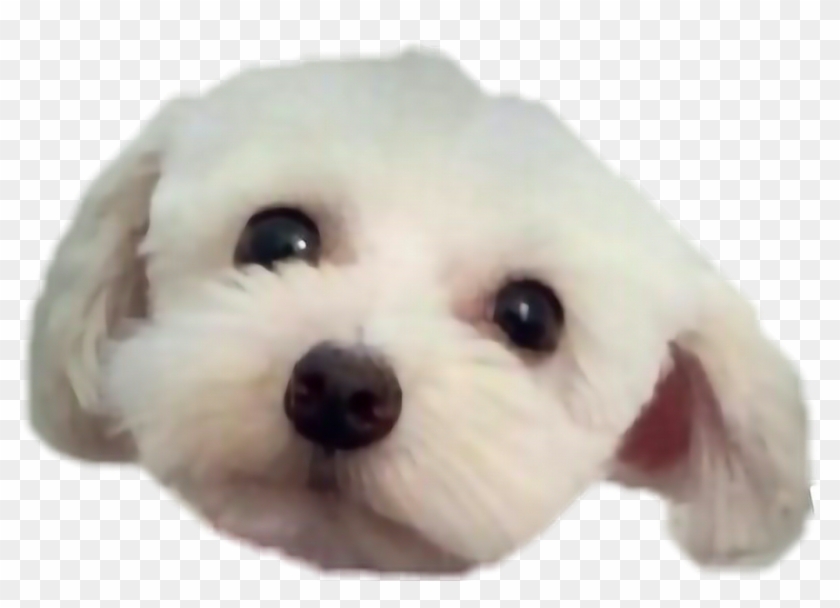 Report Abuse - Teddy Bear Clipart #772489