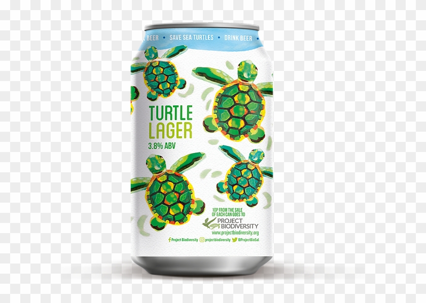 Turtle Lager Can - Non-alcoholic Beverage Clipart #773605