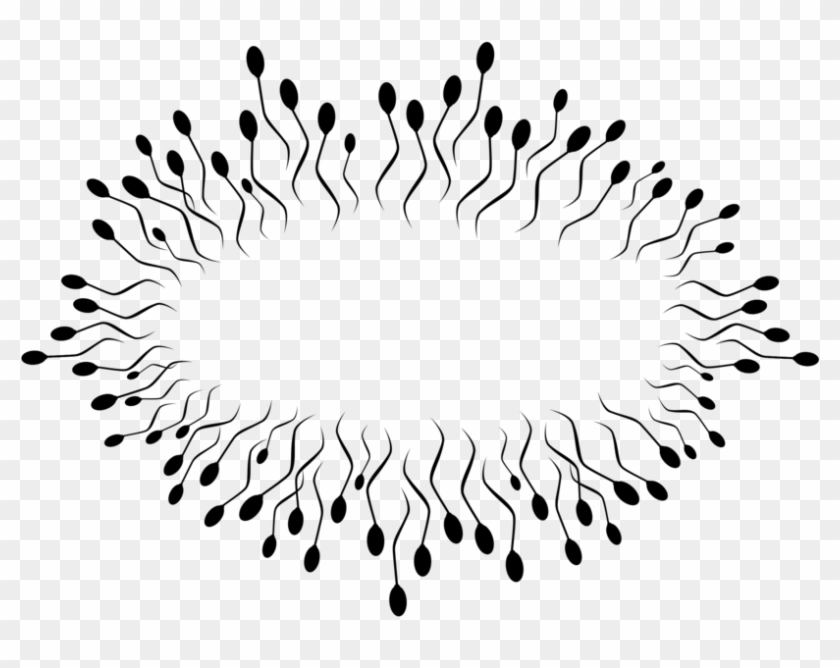 Spermatozoon Semen Egg Cell - Espermatozoides Png Clipart