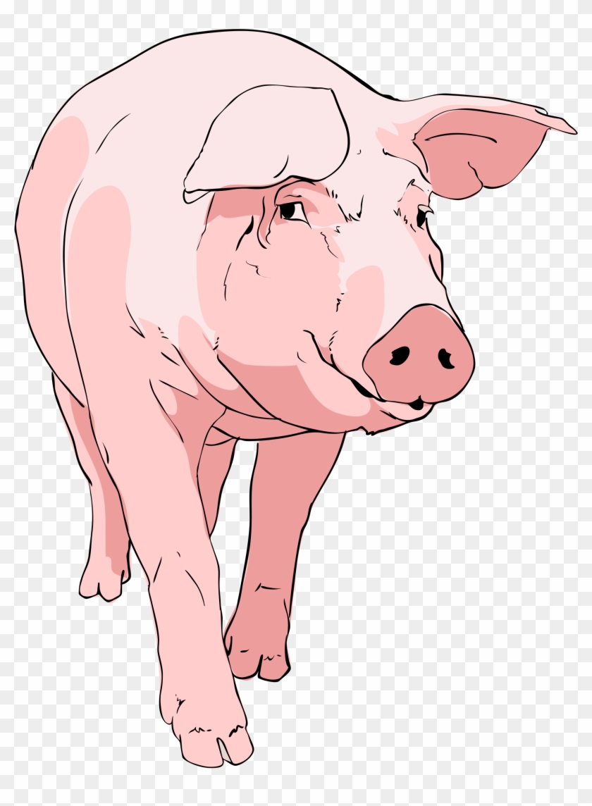 Farm - Boar Pig Clipart - Png Download